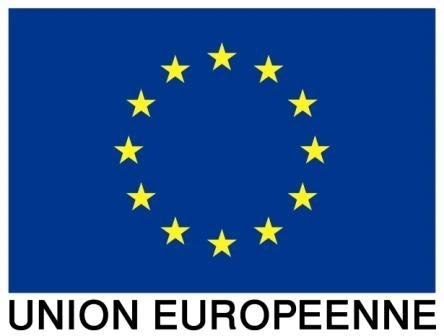 Drapeau de l'Union européenne avec douze étoiles dorées sur fond bleu.